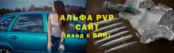 амф Ладушкин