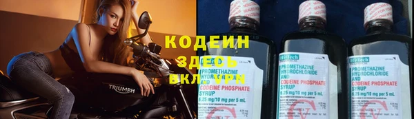 амф Ладушкин