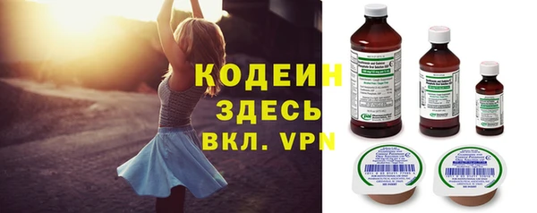 амф Ладушкин
