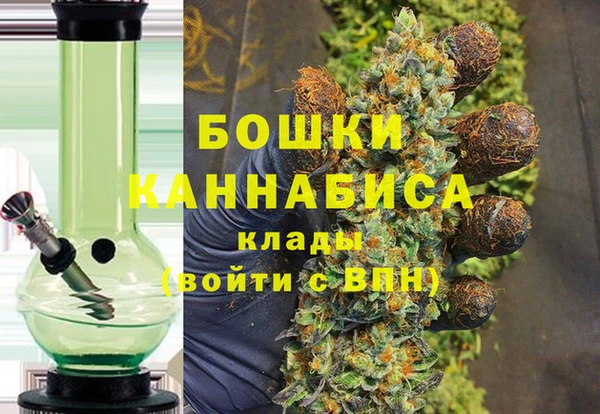 амф Ладушкин
