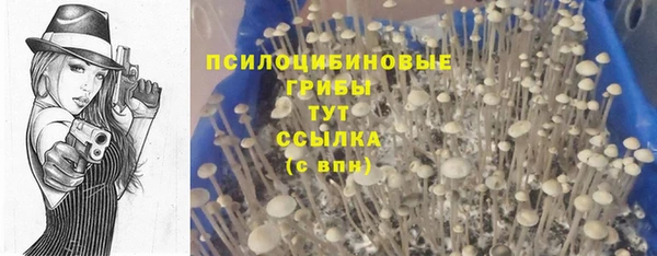 а пвп мука Лабытнанги