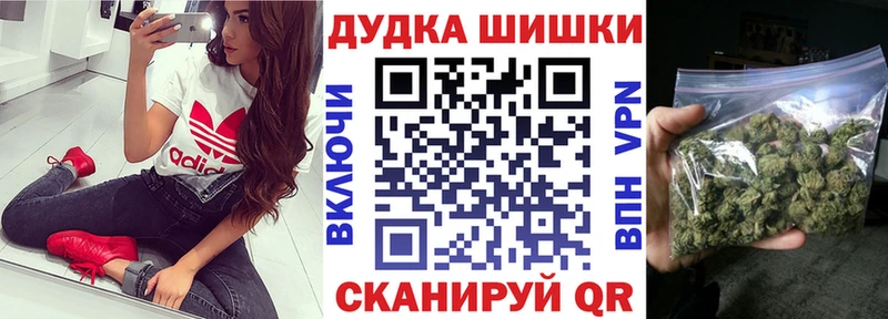 Канабис Amnesia  Купить  Лесной 